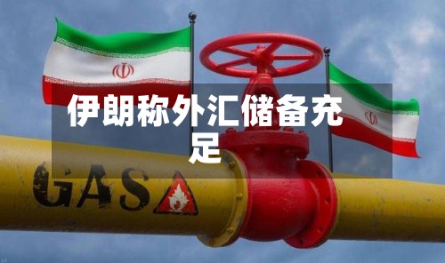伊朗称外汇储备充足