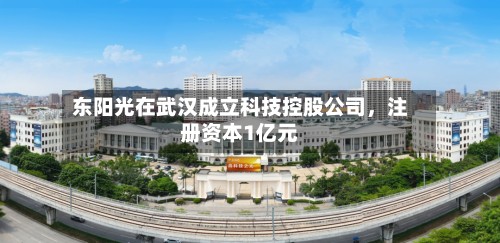 东阳光在武汉成立科技控股公司，注册资本1亿元-第2张图片