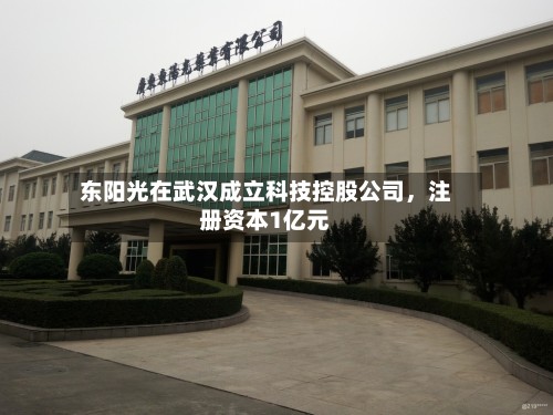 东阳光在武汉成立科技控股公司，注册资本1亿元-第1张图片